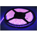 60SMD3528 4.8W/M Pink LED Strip